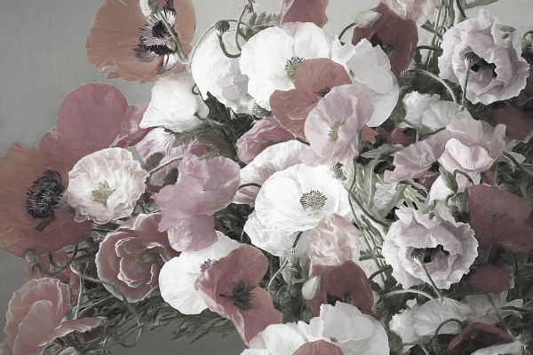 PHOTOWALL / Poppies (e330290)