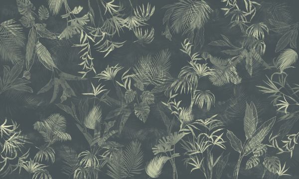 PHOTOWALL / Troxi (e330307)