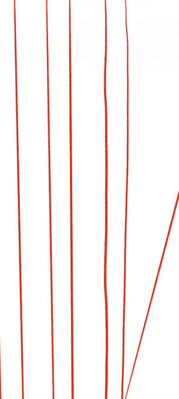 PHOTOWALL / Red Thread (e330402)