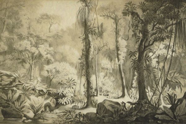 PHOTOWALL / Deep Into Tropical Forest (e330459)
