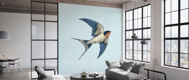 PHOTOWALL / Barn Swallow on Blue (e330732)