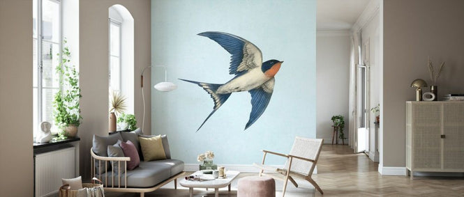 PHOTOWALL / Barn Swallow on Blue (e330732)