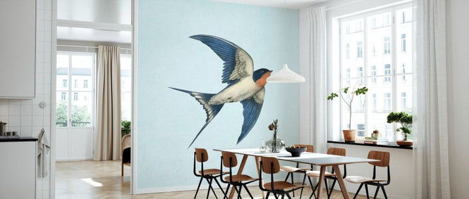 PHOTOWALL / Barn Swallow on Blue (e330732)