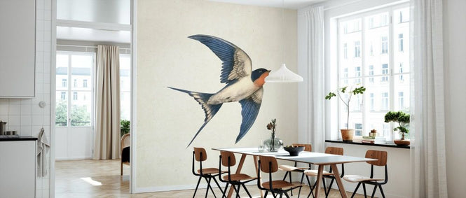 PHOTOWALL / Barn Swallow (e330733)