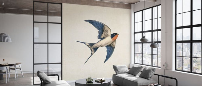 PHOTOWALL / Barn Swallow (e330733)