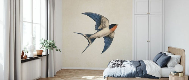 PHOTOWALL / Barn Swallow (e330733)