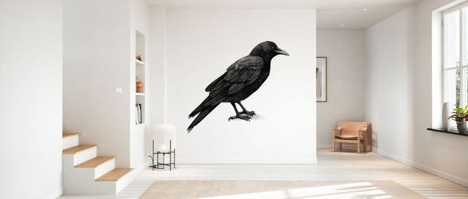 PHOTOWALL / Crow (e330749)