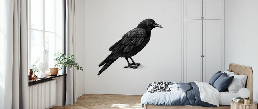PHOTOWALL / Crow (e330749)
