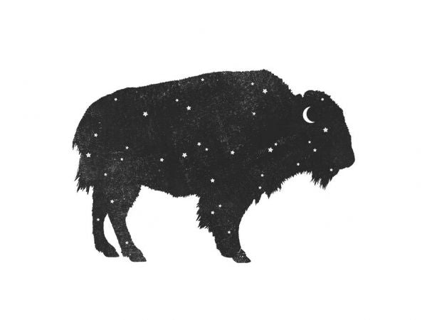 PHOTOWALL / Mystic Buffalo (e330769)