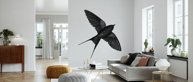 PHOTOWALL / Night Swallow (e330770)