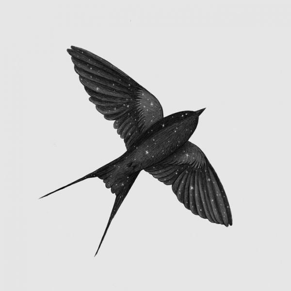 PHOTOWALL / Night Swallow (e330770)