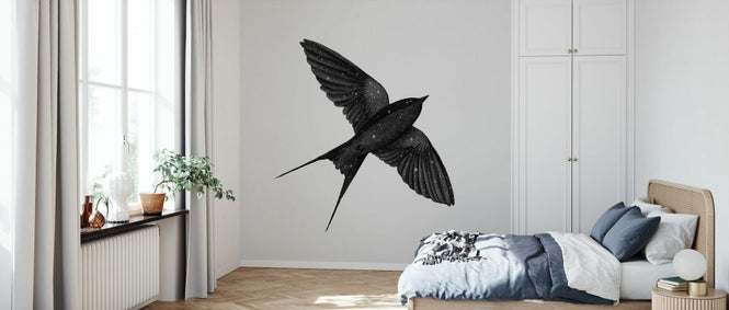 PHOTOWALL / Night Swallow (e330770)