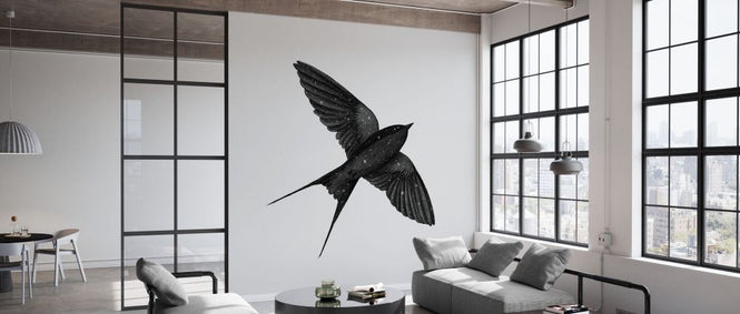 PHOTOWALL / Night Swallow (e330770)