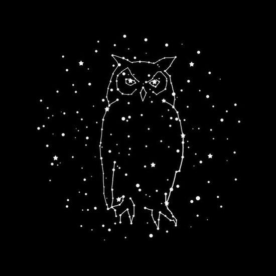 PHOTOWALL / Owl Constellation (e330772)