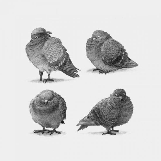 PHOTOWALL / Pirate Pigeons (e330776)