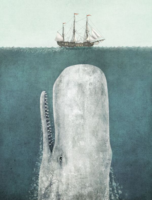 PHOTOWALL / White Whale (e330792)