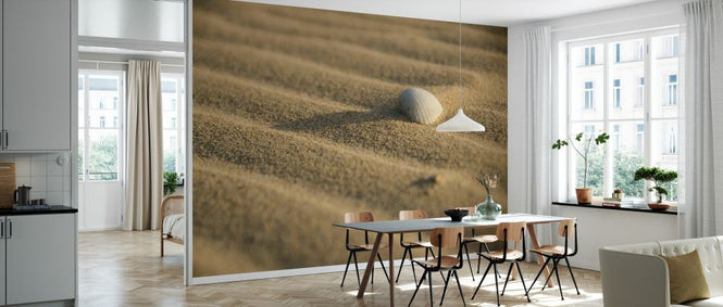 PHOTOWALL / Sand and Shell (e331479)