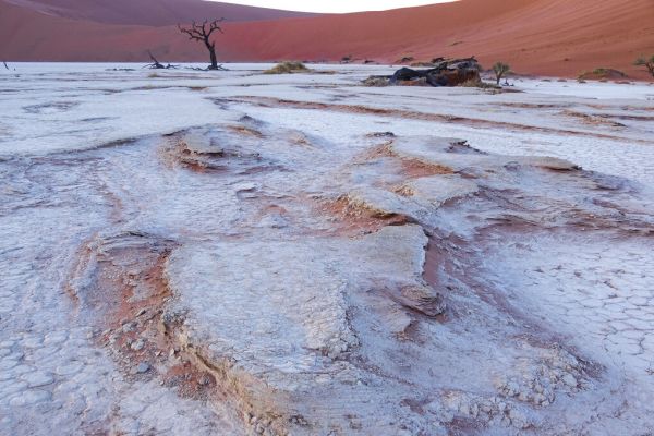 PHOTOWALL / Wadi (e331483)