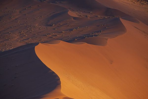 PHOTOWALL / Erg Desert (e331486)