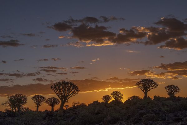 PHOTOWALL / Horizon Sunset (e331494)