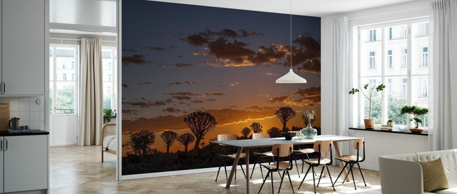 PHOTOWALL / Horizon Sunset (e331494)