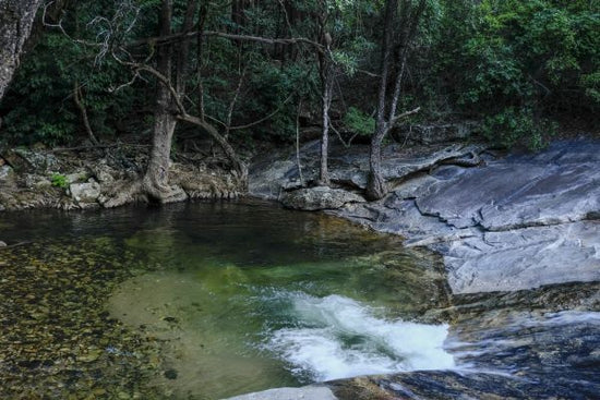 PHOTOWALL / Upstream Creek (e331519)