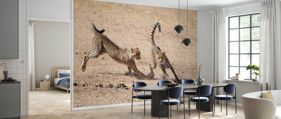 PHOTOWALL / Running Cheetah (e331538)