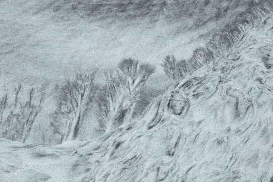 PHOTOWALL / Sketch of Trees (e331556)