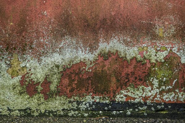 PHOTOWALL / Damaged Wall (e331564)