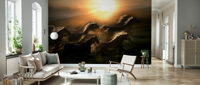 PHOTOWALL / Morning Gallop (e331173)