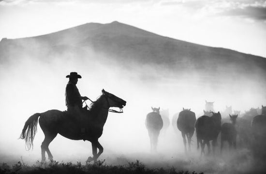 PHOTOWALL / Rider Dusty Herd (e331177)