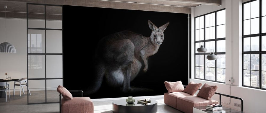 PHOTOWALL / Kangaroo (e331180)