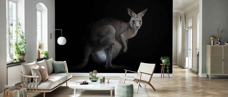 PHOTOWALL / Kangaroo (e331180)