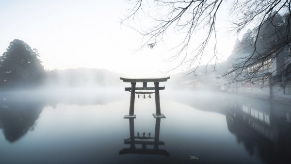 PHOTOWALL / Japan (e331200)