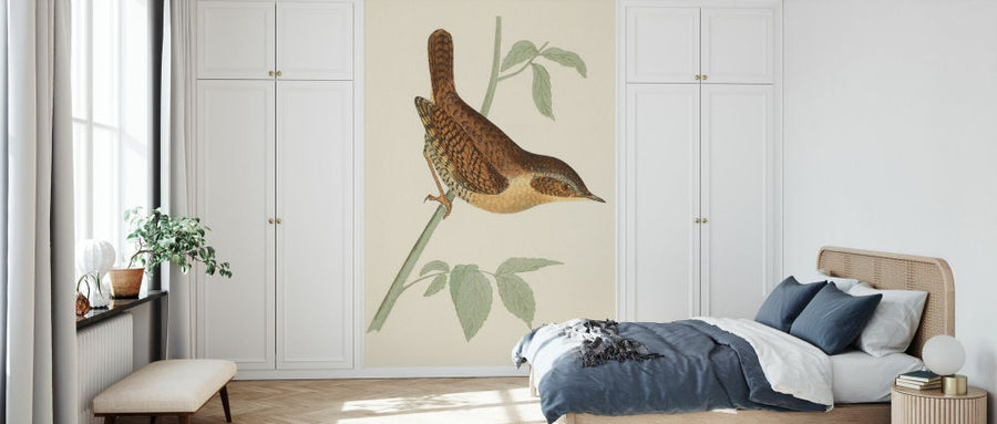 PHOTOWALL / Engraved Birds (e330860)