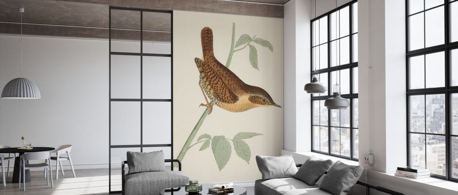 PHOTOWALL / Engraved Birds (e330860)