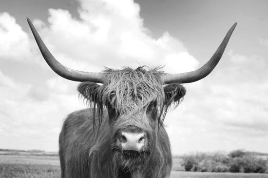 PHOTOWALL / On the Ranch - Bw (e330863)