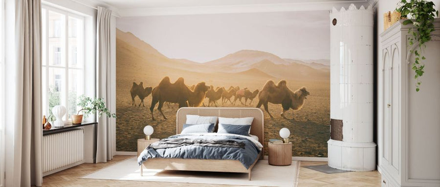 PHOTOWALL / Camels on the Move (e330865)