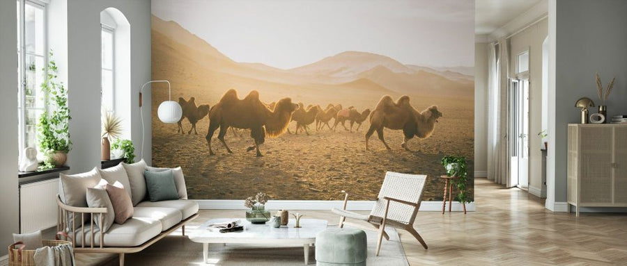 PHOTOWALL / Camels on the Move (e330865)