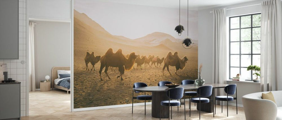 PHOTOWALL / Camels on the Move (e330865)