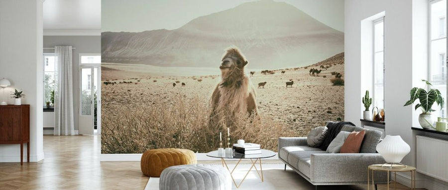 PHOTOWALL / Desert Camel (e330866)