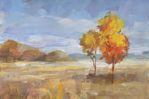 PHOTOWALL / Aspen Meadow (e330926)