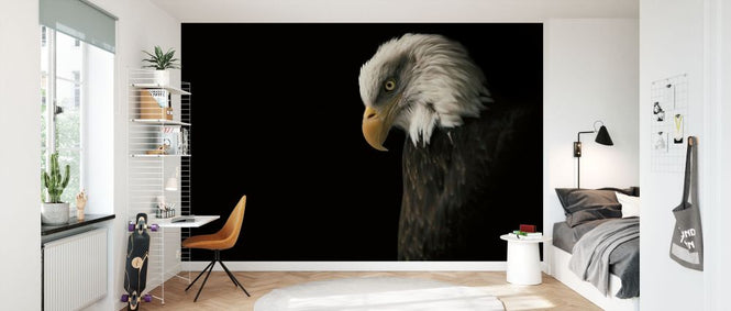 PHOTOWALL / Eagle Bow (e330984)