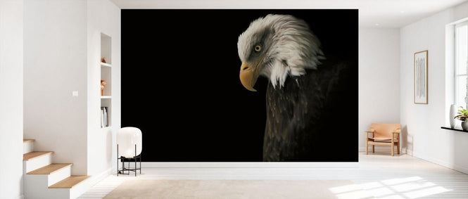 PHOTOWALL / Eagle Bow (e330984)