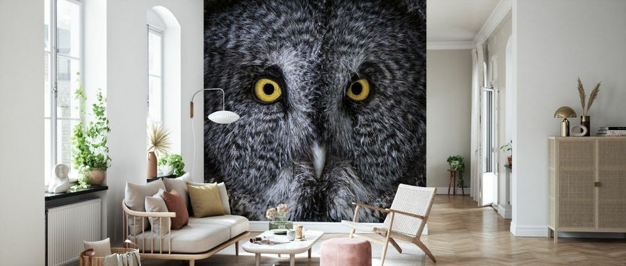 PHOTOWALL / Great Grey Owl (e330993)