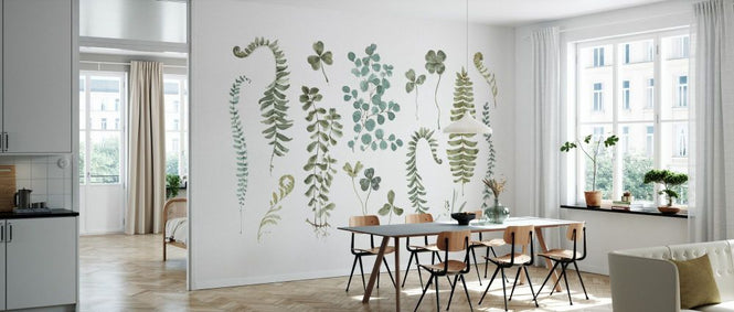 PHOTOWALL / Fern Study 01 (e331442)