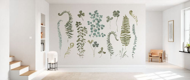 PHOTOWALL / Fern Study 01 (e331442)