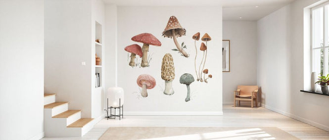 PHOTOWALL / Mushroom Medley 03 (e331450)