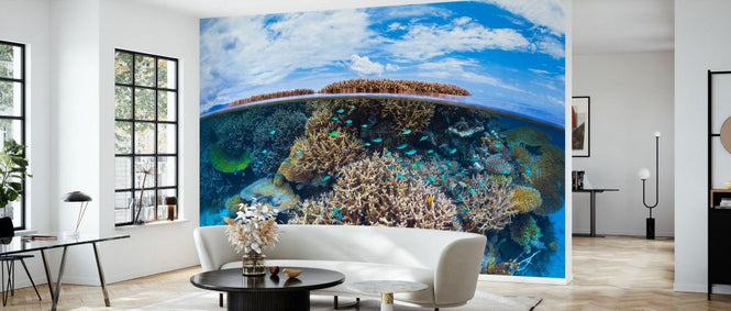 PHOTOWALL / Split Level from Mayotte Reef (e331579)