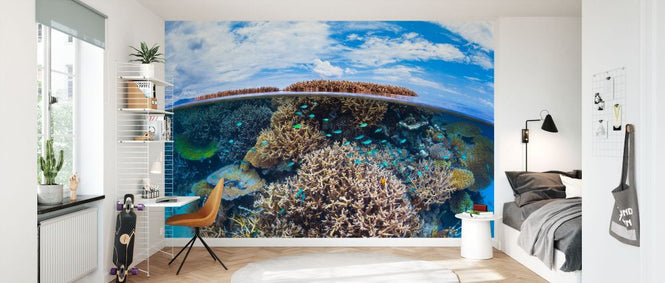 PHOTOWALL / Split Level from Mayotte Reef (e331579)
